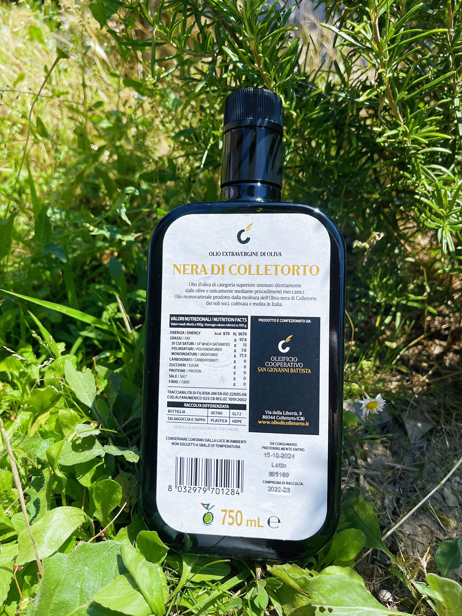 Olio Extravergine d'oliva Nera di Colletorto - immagine 2