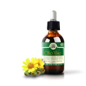 Olio viso Mary Rose