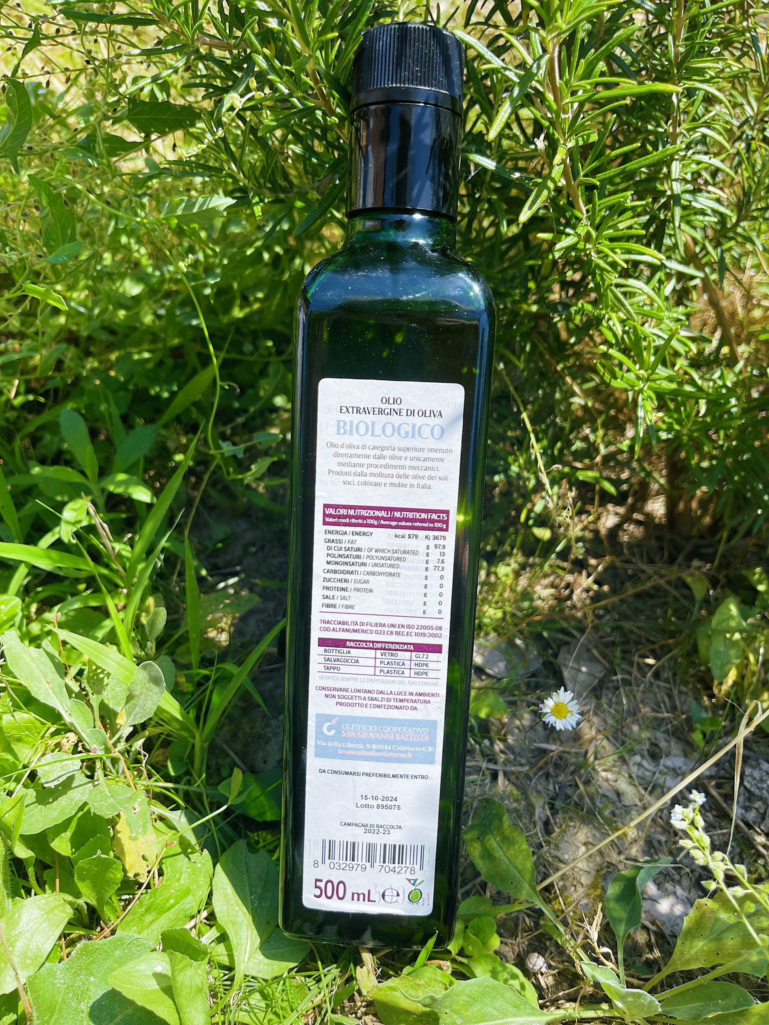 Olio Extravergine di Oliva Biologico - immagine 2
