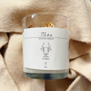 Toro - candela in cera di soia
